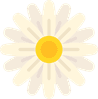 decorative flower